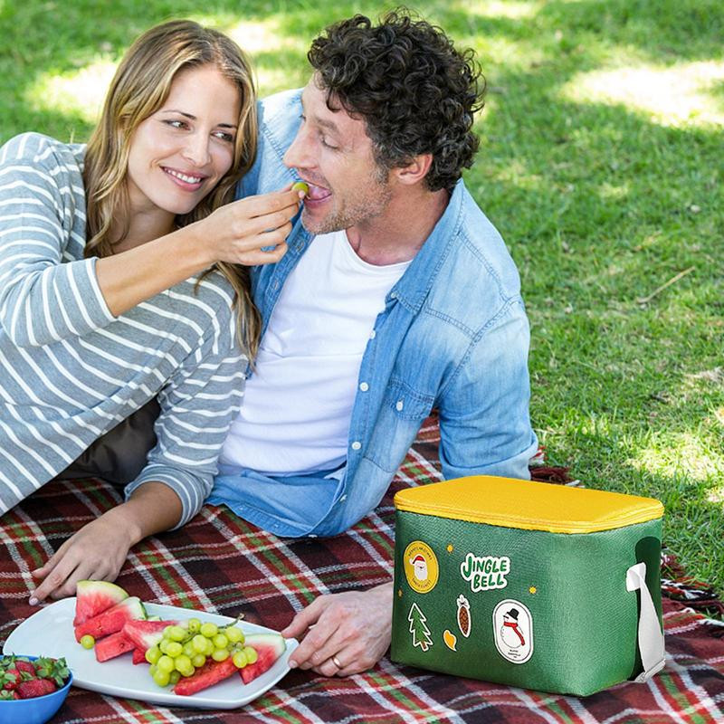 Piknika aukstuma soma bieza izolēta piknika soma izolēta aukstuma soma 10l rokas pārnēsājama plecos piknika groza dzesētājs priekš