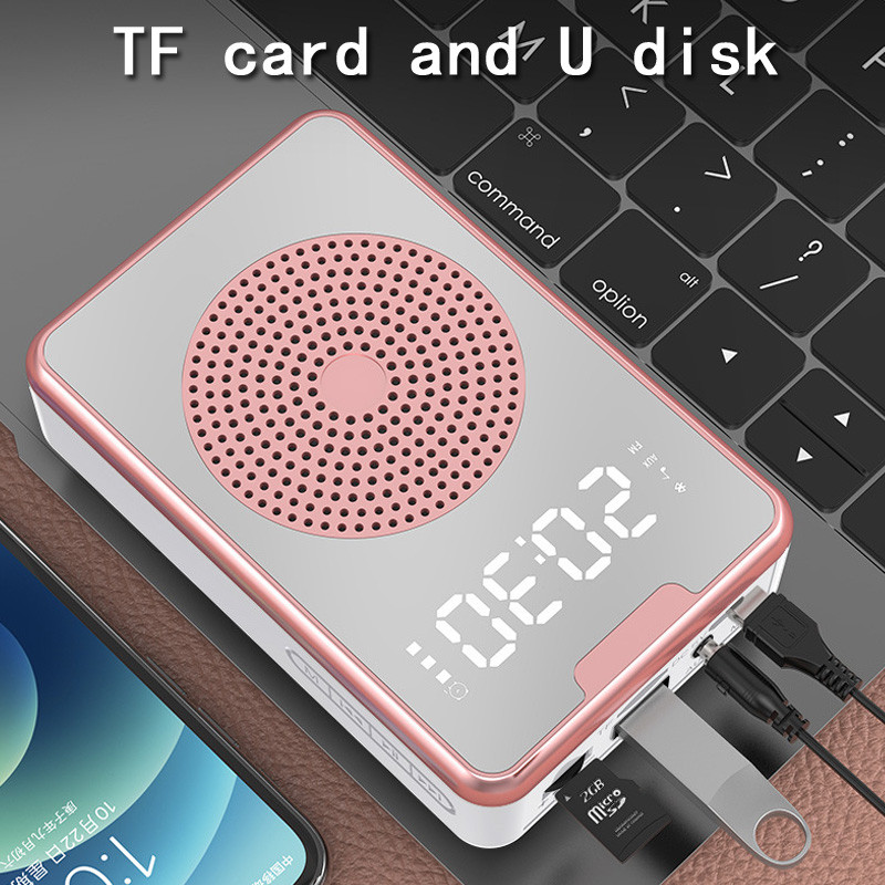 Hordozható vezeték nélküli Bluetooth hangerősítő mikrofon tanítási megafon Little Bee hangszóró tanároknak szabadtéri idegenvezető