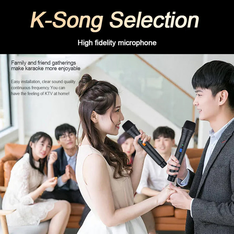 Microfon wireless Heikuding Sistem de microfon dinamic pentru Karaoke Cântând DJ Microfon Difuzor de petrecere