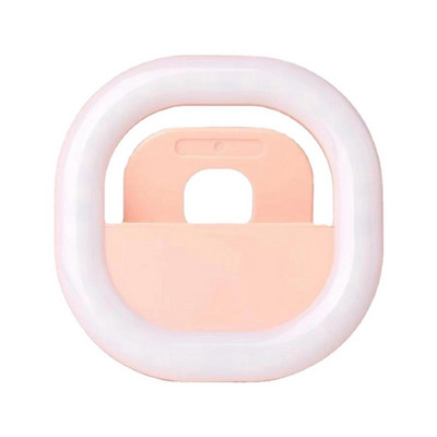 Pašbildes gredzena gaisma