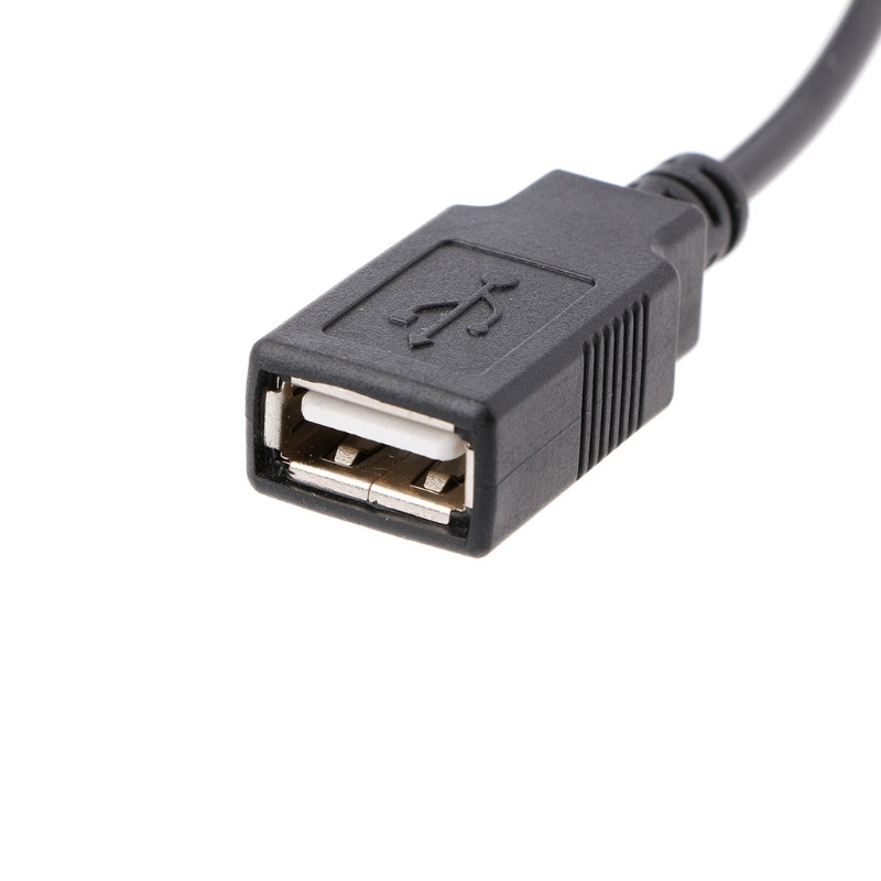 30 cm datora iekšējais 5 V 2 kontaktu IDE Molex uz USB 2.0 A tipa sieviešu barošanas adaptera kabelis