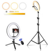 26/33 cm LED-selfie rõnga valgus hämardatav fotograafia täitevalgustus 50 cm statiivi ja kaugjuhtimispuldiga Youtube'i TikTok Video Live jaoks