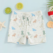 Little Boys Μαγιό για αγόρια Μαγιό Μαγιό Σορτς Casual Dinosaur Print Toddler Bay Swimming σορτς Παιδικά μαγιό