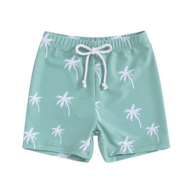 Little Boys Μαγιό για αγόρια Μαγιό Μαγιό Σορτς Casual Dinosaur Print Toddler Bay Swimming σορτς Παιδικά μαγιό