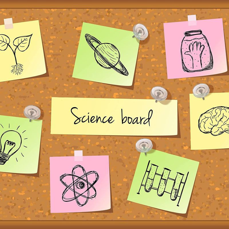 50 db Átlátszó térképtűk Többcélú lapos, kerek tűk Dekoratív rajzszögek Irodai kötőtűk Kellékek